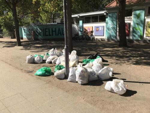 #worldcleanupday2019